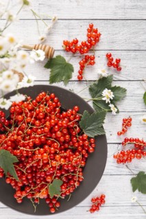 Red berries and leaves on table with flowers