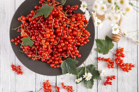 Red berries and leaves on table with flowers