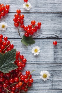 Red berries and leaves on table with flowers
