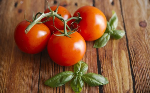 Tomatoes on vine with basil leaf
