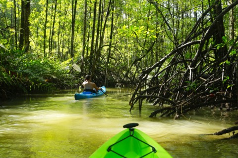 Hispanic woman rowing kayak on river
