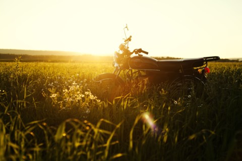 Motorcycle parked in rural field