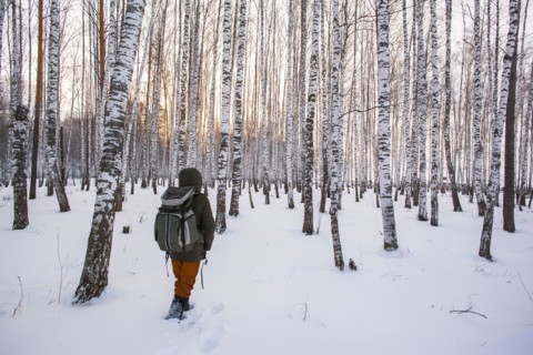 Mixed race man walking in snowy forest
