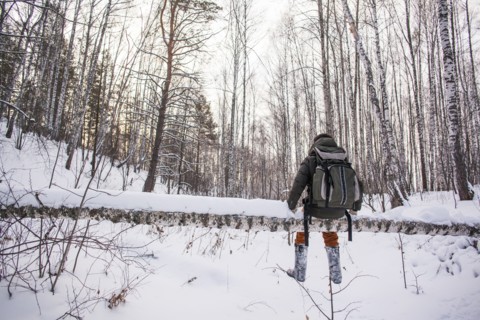 Mixed race man walking in snowy forest