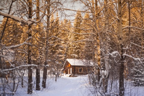 Log cabin in snowy forest