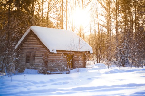 Log cabin in clearing in snowy forest