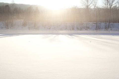 Sun shining over snowy field