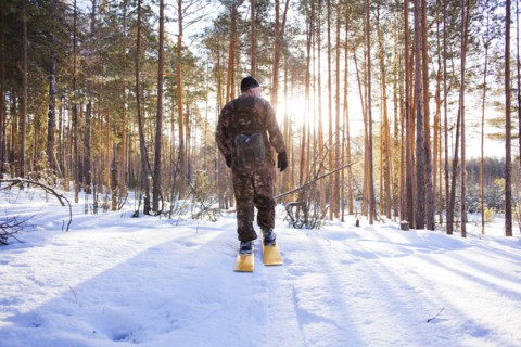 Caucasian man cross country skiing in snowy forest