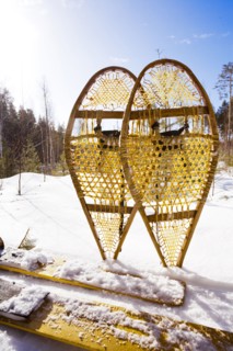 Close up of snowshoes and skis in snowy field