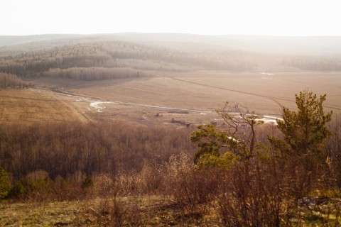 Rolling hills and fields in rural landscape