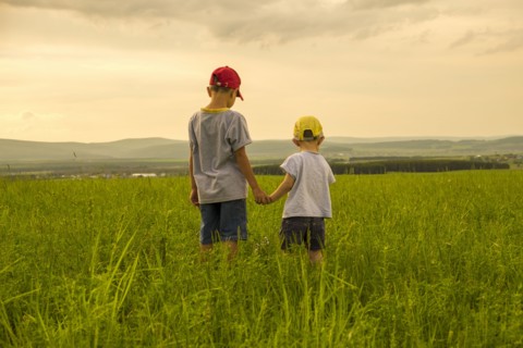 Mari brothers exploring in rural field