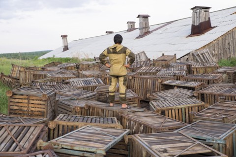 Mari man standing on wooden crates near roof