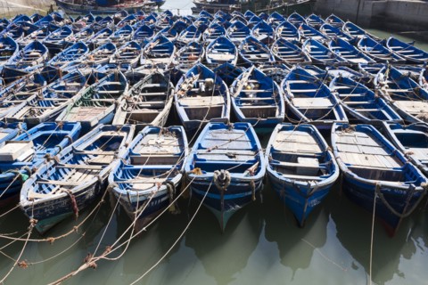Blue boats secured with rope