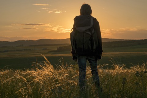 Caucasian woman admiring landscape at sunset