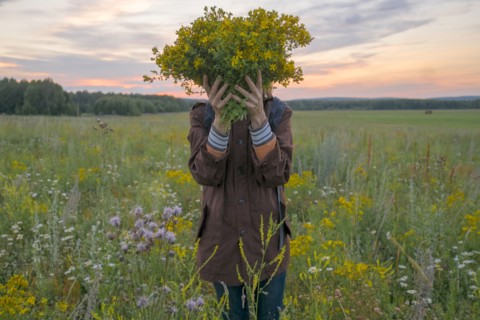 Caucasian woman holding bouquet of flowers over face in field at sunset
