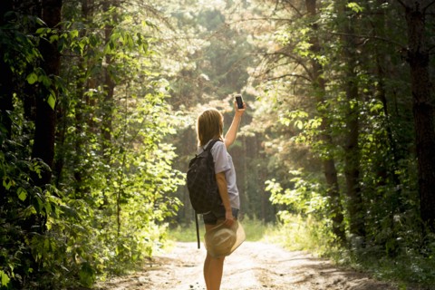 Caucasian woman photographing forest trees with cell phone