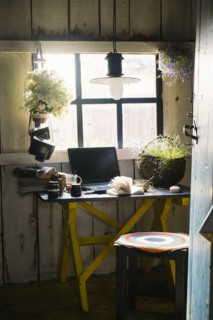 Laptop and plants near rustic window
