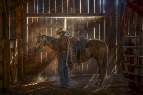 Caucasian man brushing horse in barn