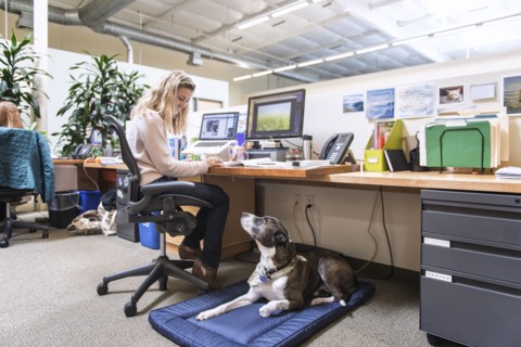 Caucasian woman in office with dog
