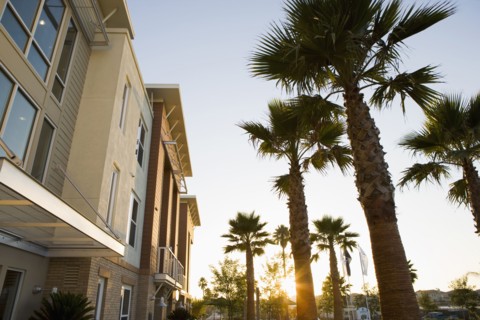 Sun setting through palm trees outside of contemporary loft style homes