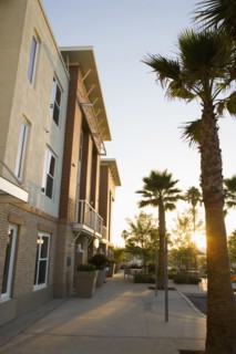 Sun setting through palm trees outside of contemporary loft style homes