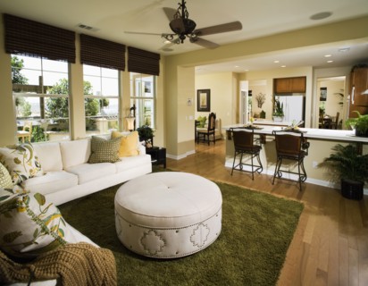 Interior contemporary home with living room kitchen and dining room