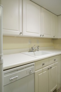 Dishwasher and sink in monochromatic kitchen