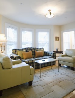 Living room with plaid sofa