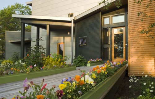 Flower bed with pansies outside modern home