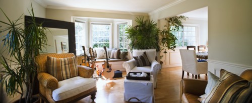 Armchairs in living room