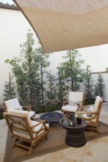 View of sitting area with plants at a patio
