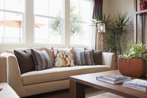 Couch against window in the living room at home