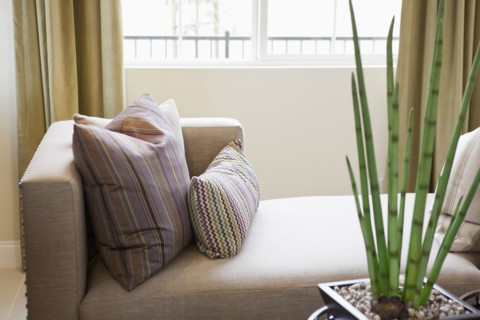 House by chaise lounge in sitting room
