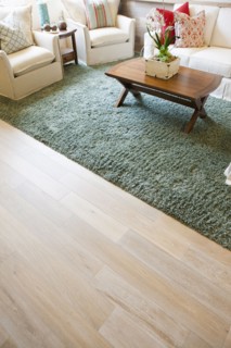 Coffee table and sage rug in living room
