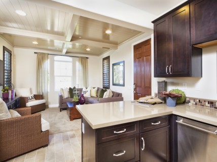 Open plan of domestic kitchen and living room