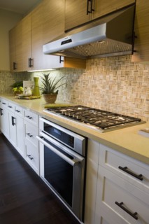 Stove top and oven in contemporary kitchen