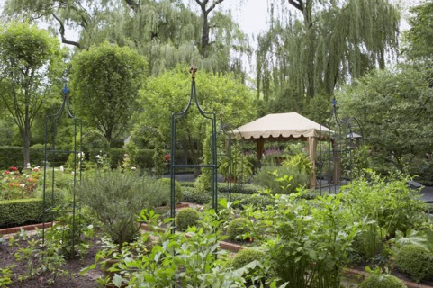 Shaped hedges surround flower beds in controlled rectangles with paths leading in between