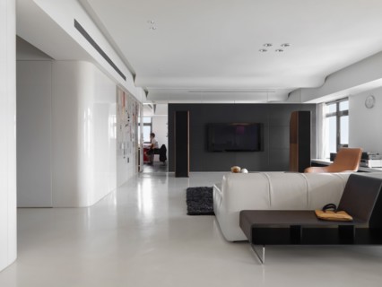 Large modern living room