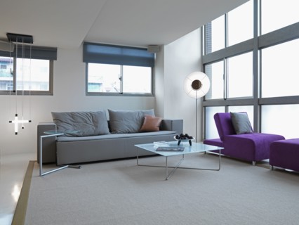 Open living room with modern furnishings