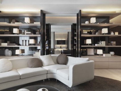 Modern living room with bookcases