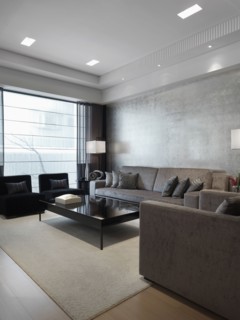 Modern living room with gray furnishings
