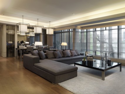 Large sofa in living room