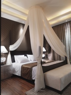 Mosquito net above bed