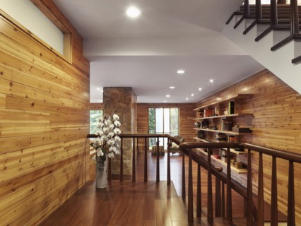 Interior view of cabin home