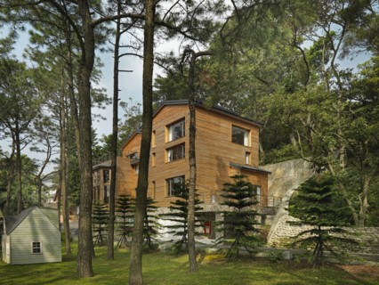Exterior view of cabin and backyard