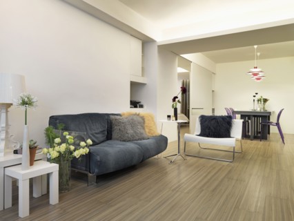 Modern living room and dining room with hardwood floors
