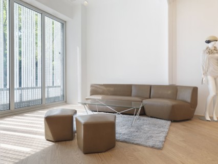 Living room with tan sofa and large windows