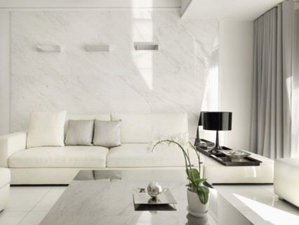 Monochromatic modern living room