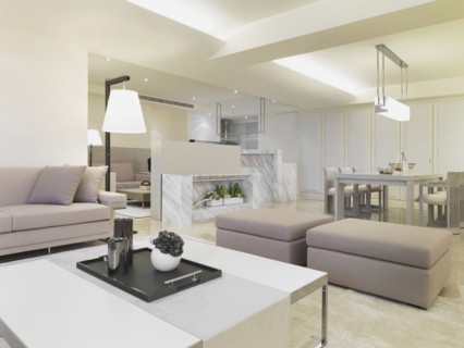 Modern monochromatic living room and dining room