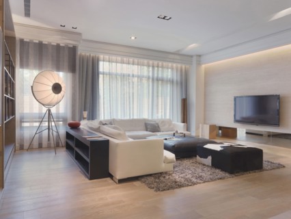 Modern living room with shag carpet